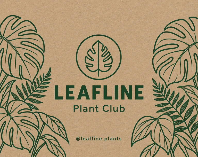 LEAFLINE Plant Club의 식물 구독 박스 뚜껑, AI 택배 박스 디자인에서 제작