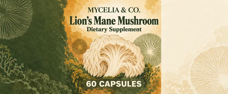 MYCELIA & CO. Lion's Mane Mushroomのキノコのカプセル、AIサプリパッケージデザインで作成